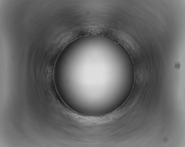 X0000097640034200803071602