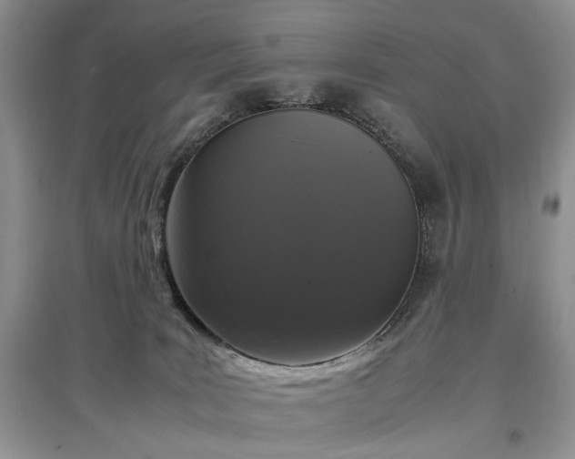 X0000097640035200803071602