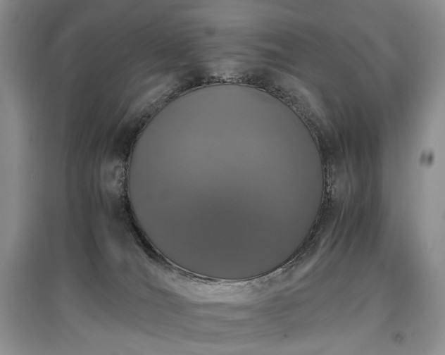 X0000097640036200803071602