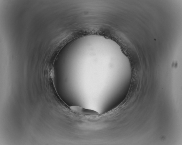 X0000097640037200803071602