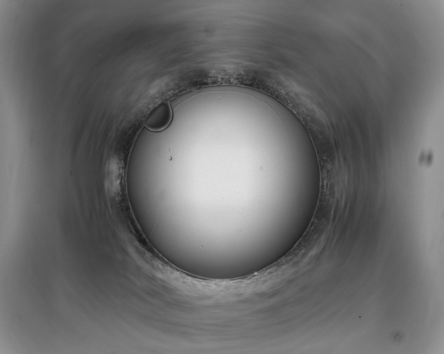 X0000097640038200803071602