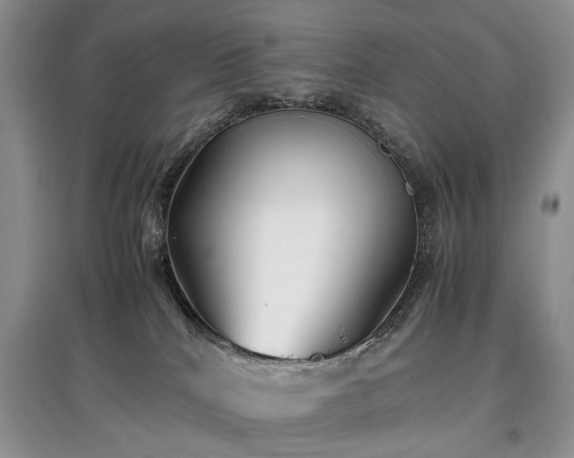 X0000097640040200803071602