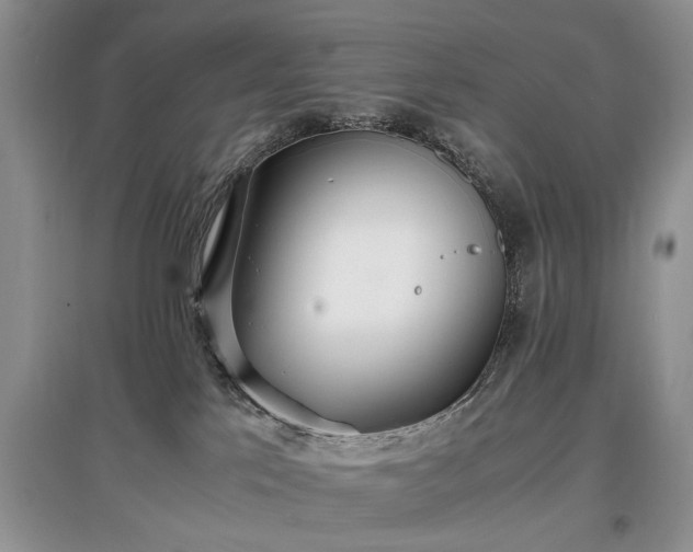 X0000097640041200803071602