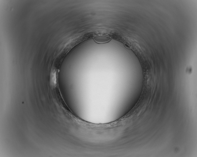 X0000097640042200803071602