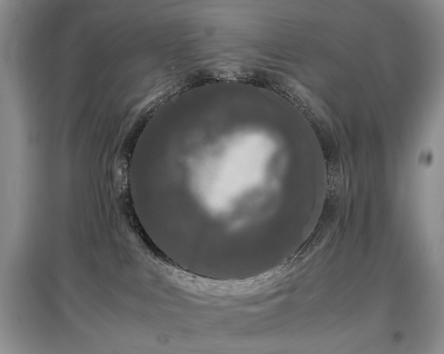 X0000097640043200803071602