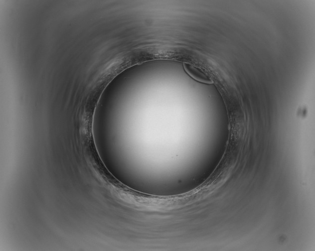 X0000097640044200803071602