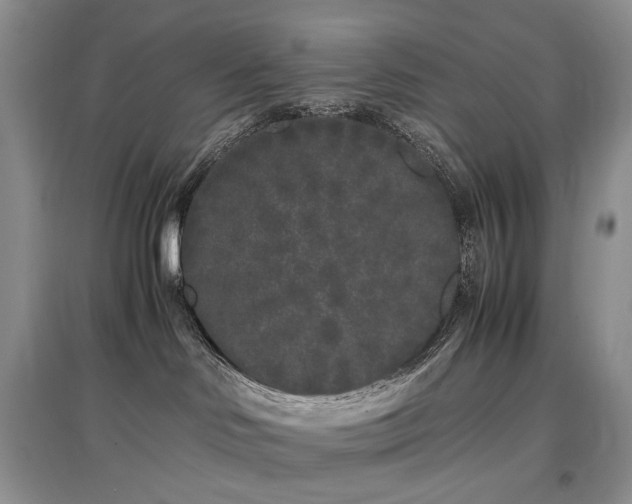 X0000097640046200803071602