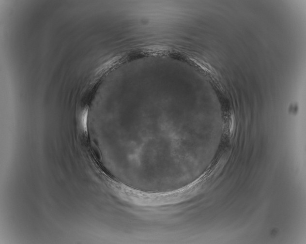 X0000097640047200803071602