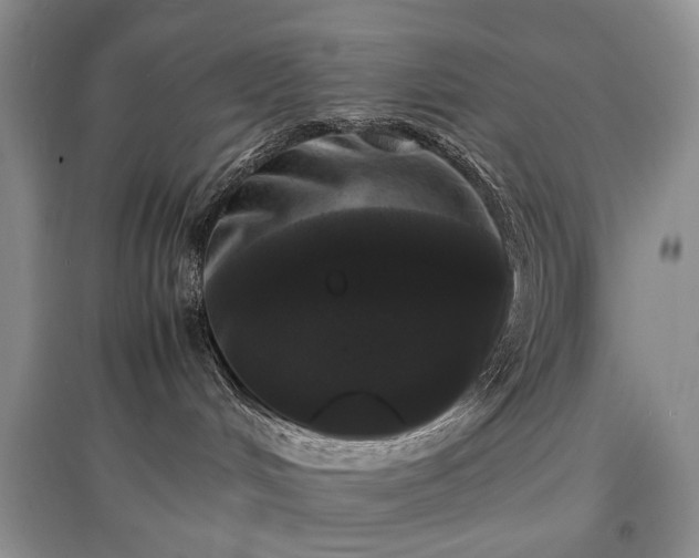 X0000097640048200803071602