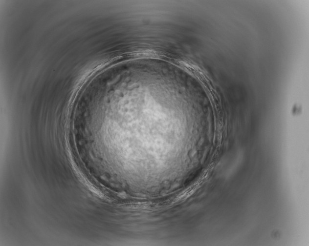 X0000097640049200803071601