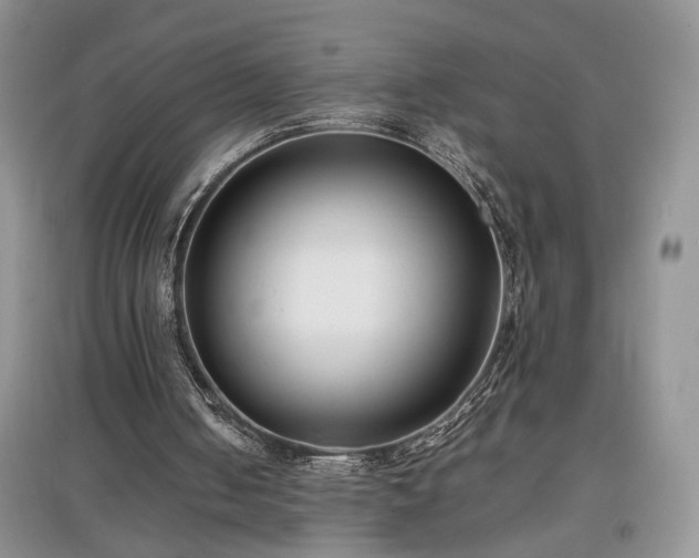 X0000097640050200803071601