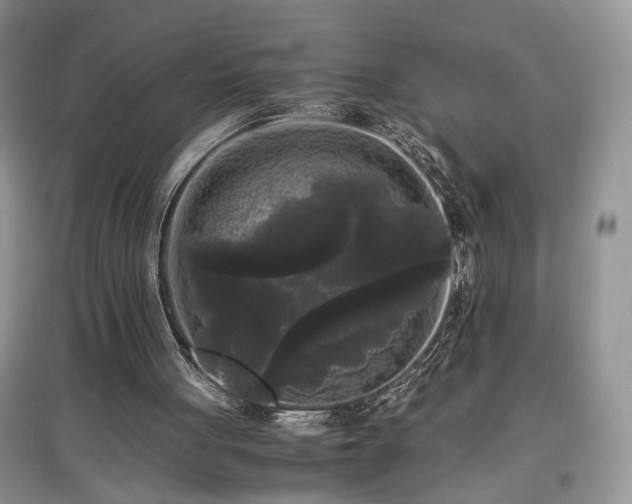 X0000097640051200803071601