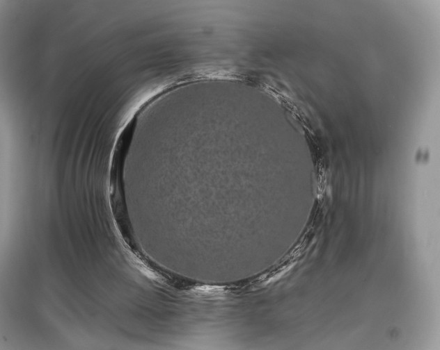 X0000097640052200803071601