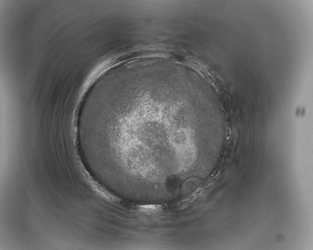 X0000097640053200803071601