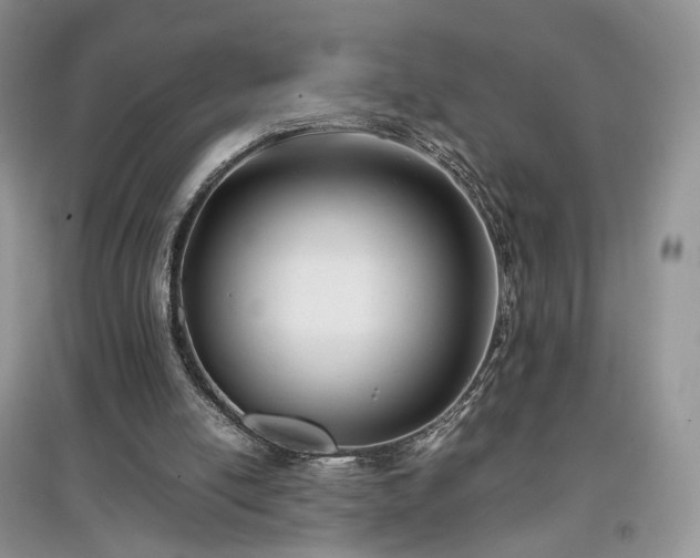 X0000097640054200803071601