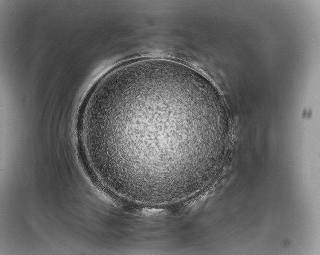 X0000097640055200803071601