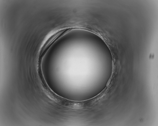 X0000097640056200803071601