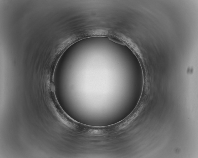 X0000097640057200803071601