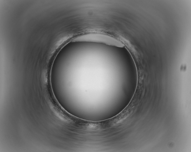 X0000097640060200803071601