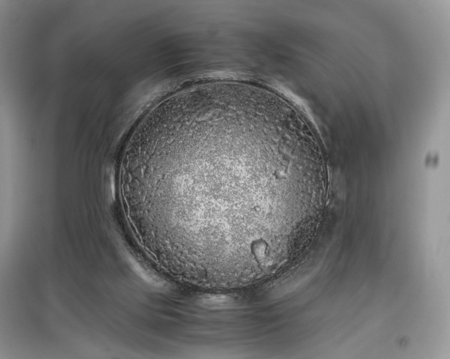 X0000097640061200803071601