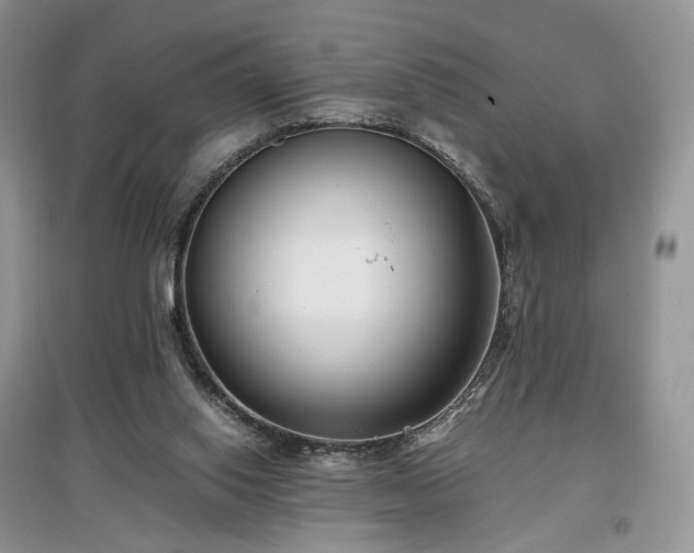 X0000097640062200803071601