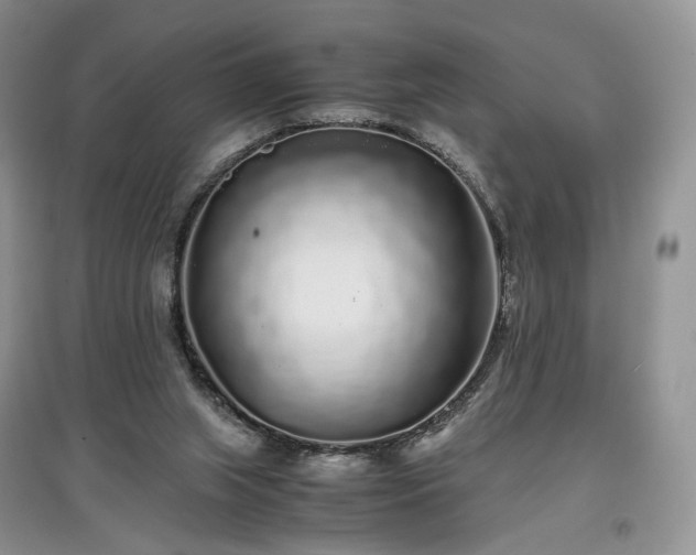 X0000097640063200803071601