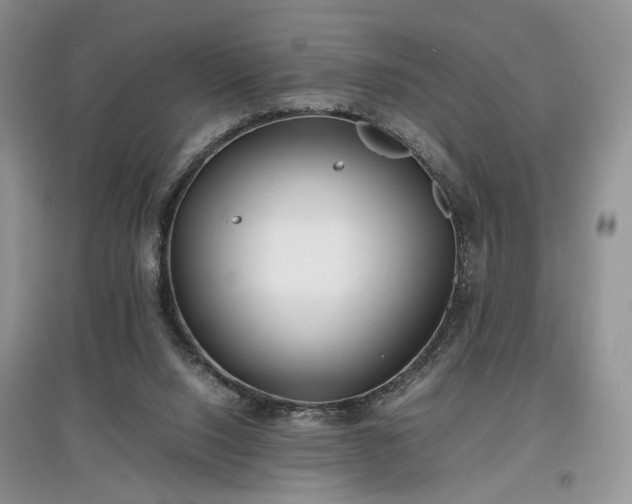 X0000097640064200803071601