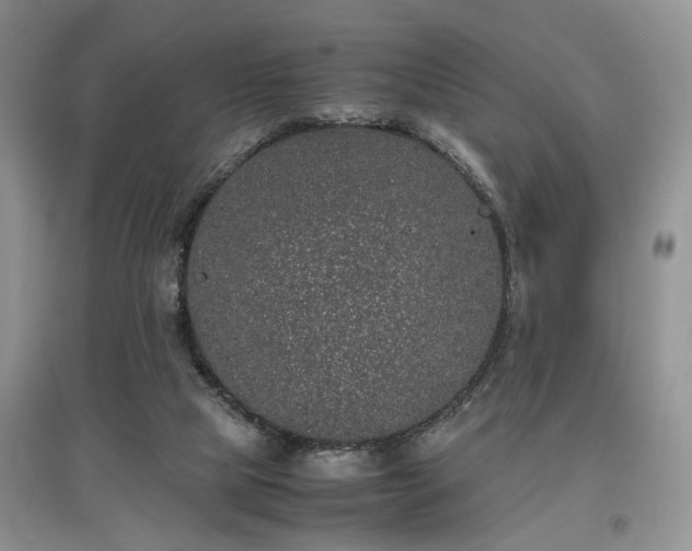 X0000097640065200803071601