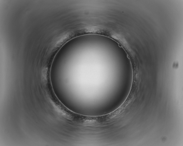 X0000097640066200803071601