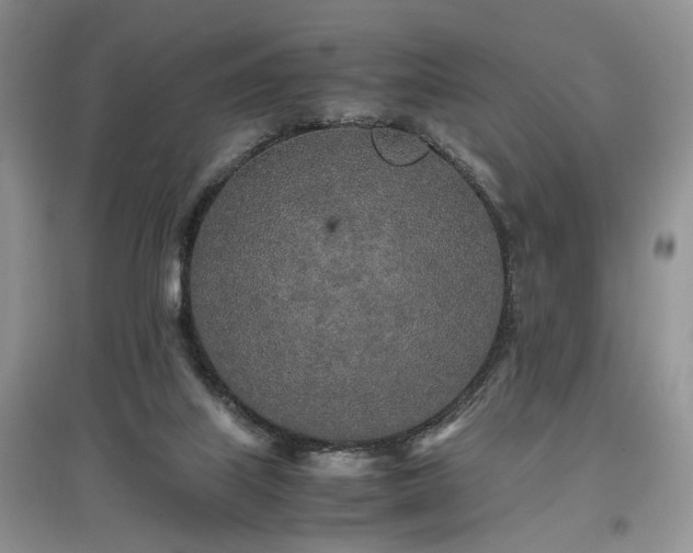 X0000097640067200803071601