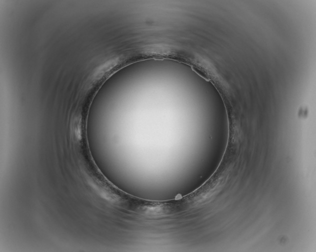 X0000097640068200803071601