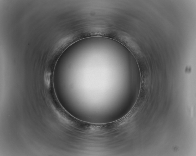 X0000097640070200803071601