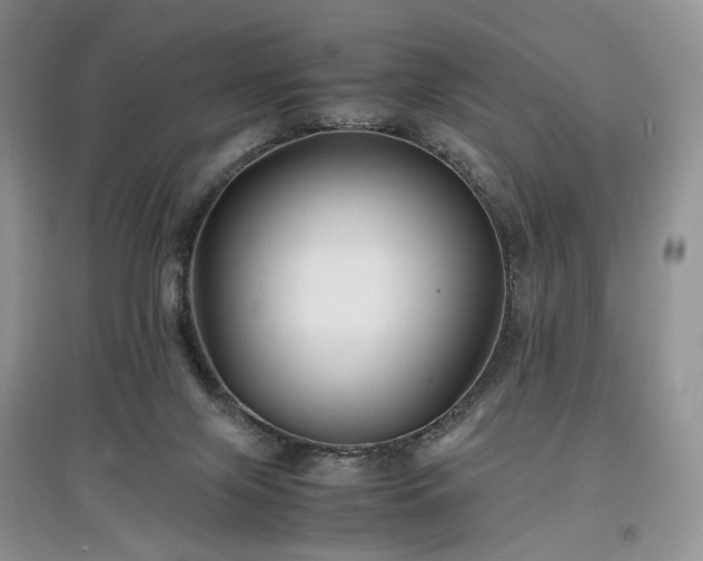 X0000097640071200803071601