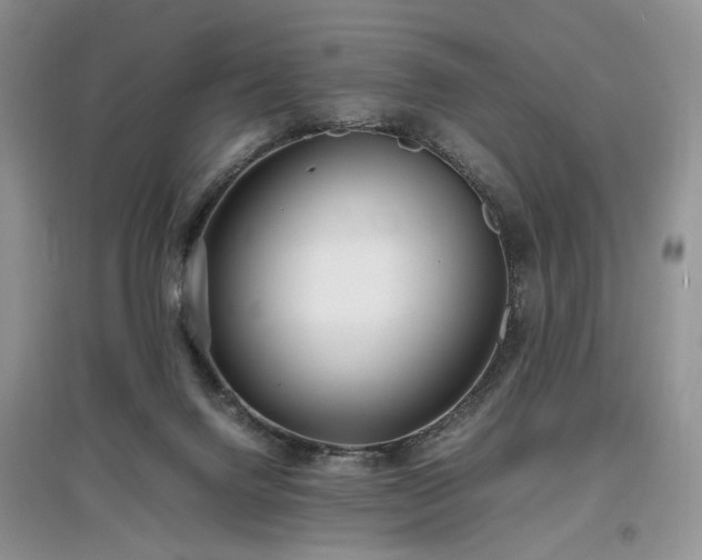 X0000097640072200803071601