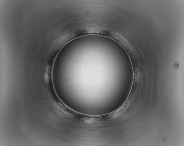 X0000097640074200803071601