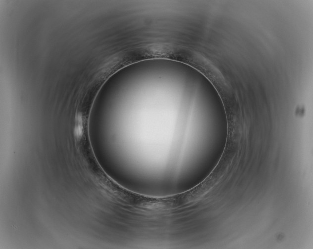 X0000097640075200803071602