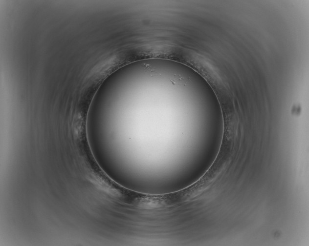 X0000097640077200803071602