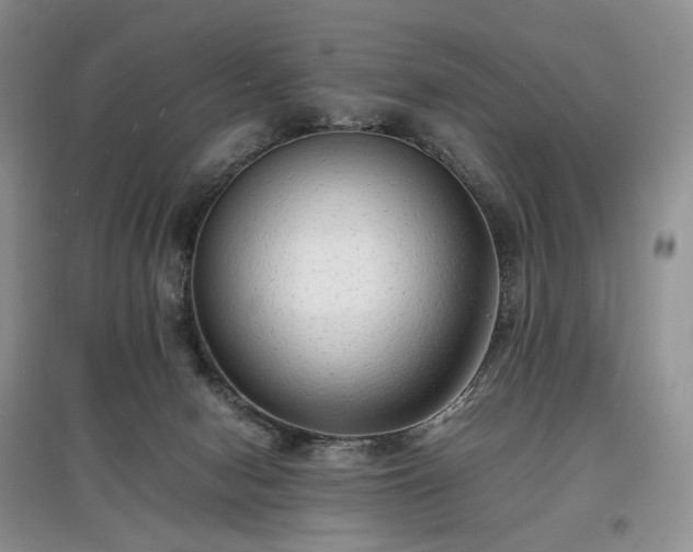 X0000097640078200803071602