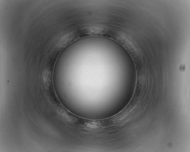 X0000097640079200803071602