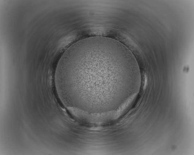 X0000097640080200803071602