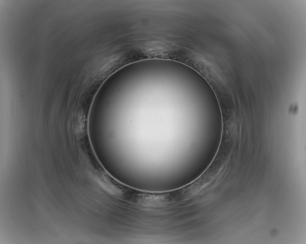 X0000097640081200803071602