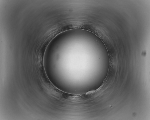 X0000097640082200803071602