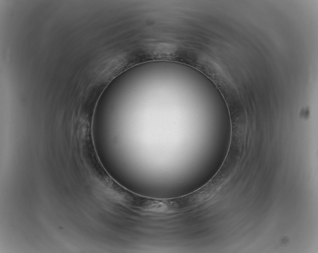 X0000097640083200803071602