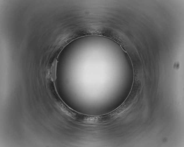 X0000097640084200803071602