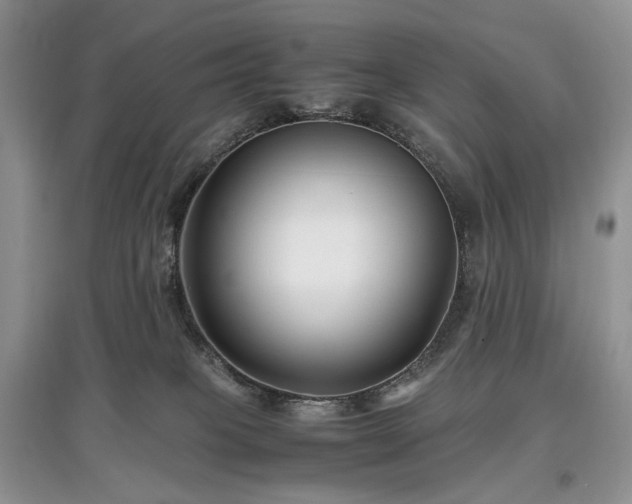 X0000097640085200803071602