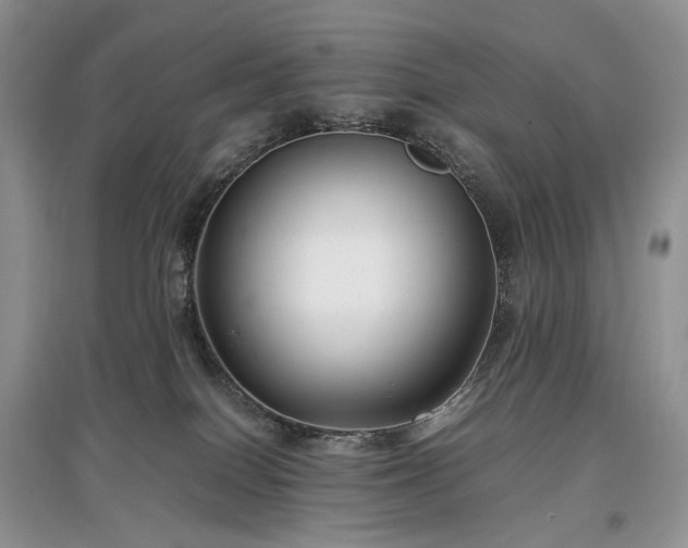 X0000097640086200803071602