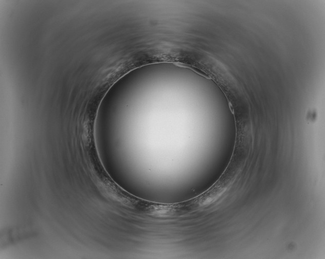 X0000097640088200803071602