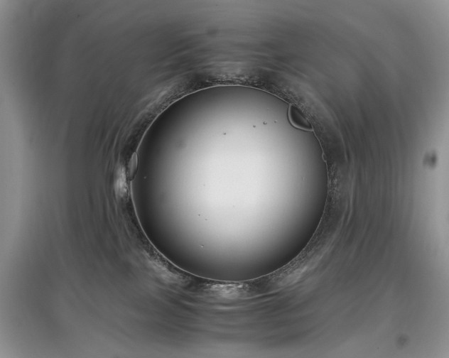 X0000097640089200803071602