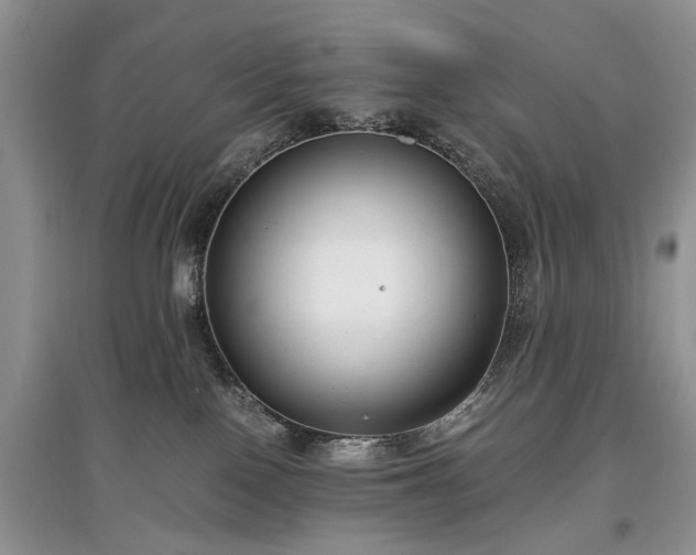 X0000097640090200803071602