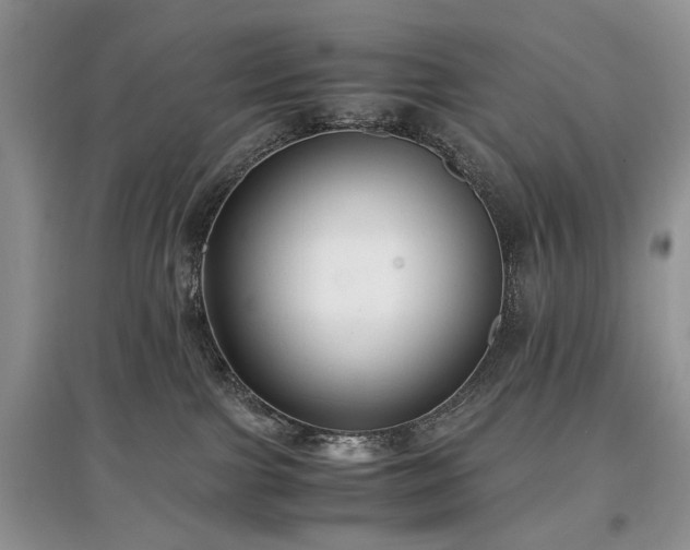 X0000097640091200803071602